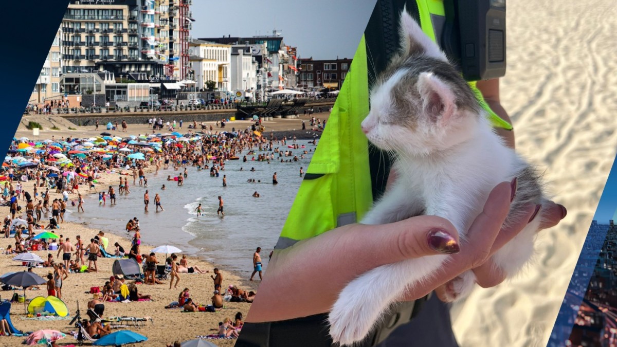 Kinderen gooien met kitten op bloedheet strand in Vlissingen. Beeld: ANP/Lea Versteydt