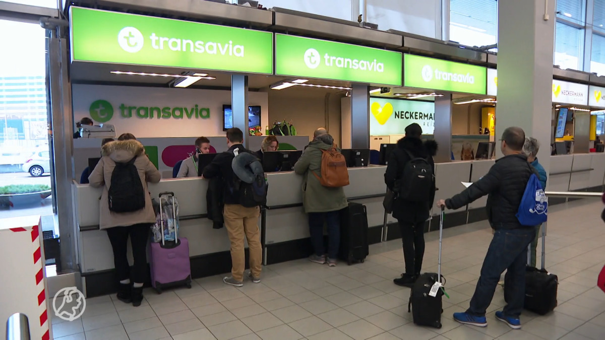 Mensen in de rij voor de incheckbalie van Transavia, beeld: ANP