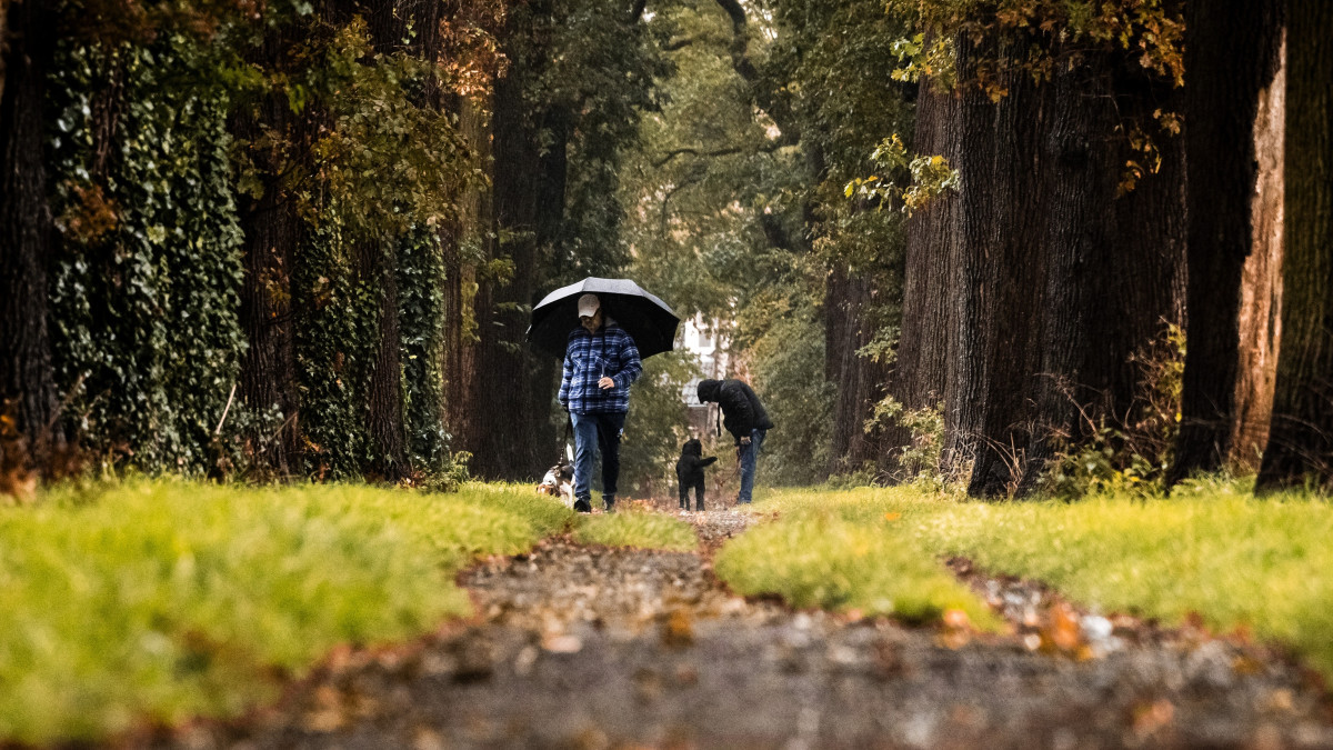 Een man laat zijn hond uit in de regen tijdens een natte herfstdag in oktober. Beeld: ANP.