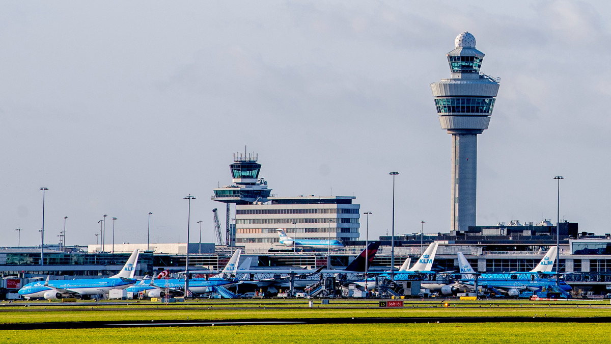 KLM-vliegtuigen op Schiphol. Foto: ANP