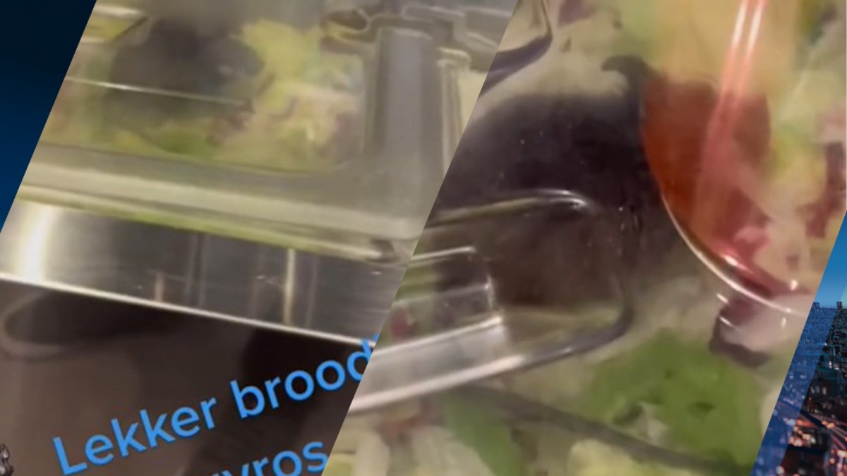 Rat eet buikje rond in slabak van Grieks restaurant in Leidschendam