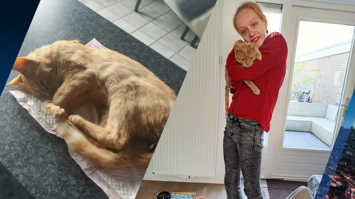 Jong katje van Roselie (14) overleden na beschieting: 'Hij kroop maar een beetje rond'
