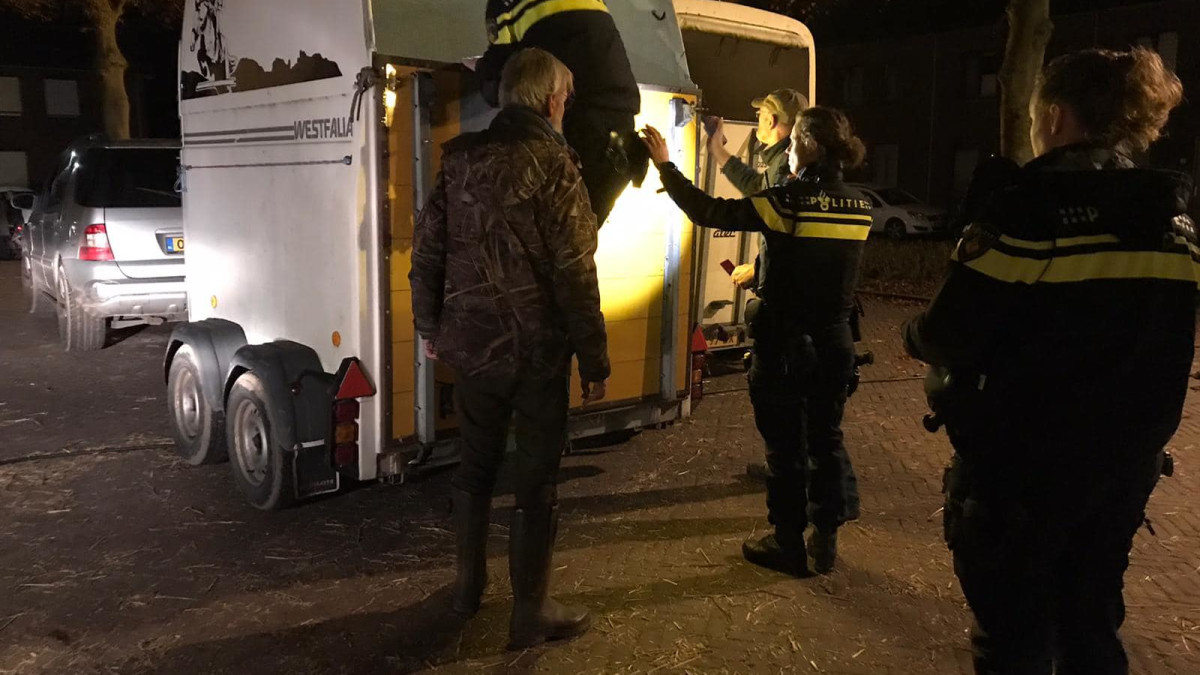 De politie neemt dieren van Berts Animal Verhuur in beslag in het Limburgse Arcen